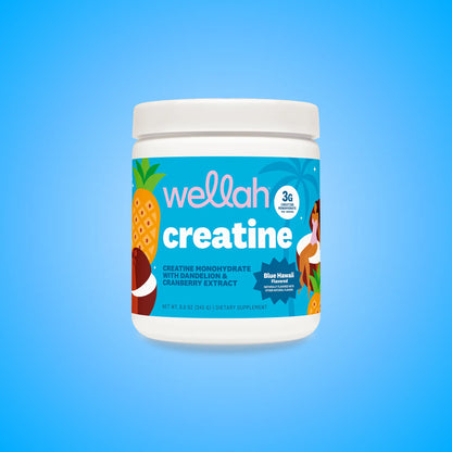 Wellah Nutrition Creatine Monohydrate | 50 Servings | 3G Creatine | 