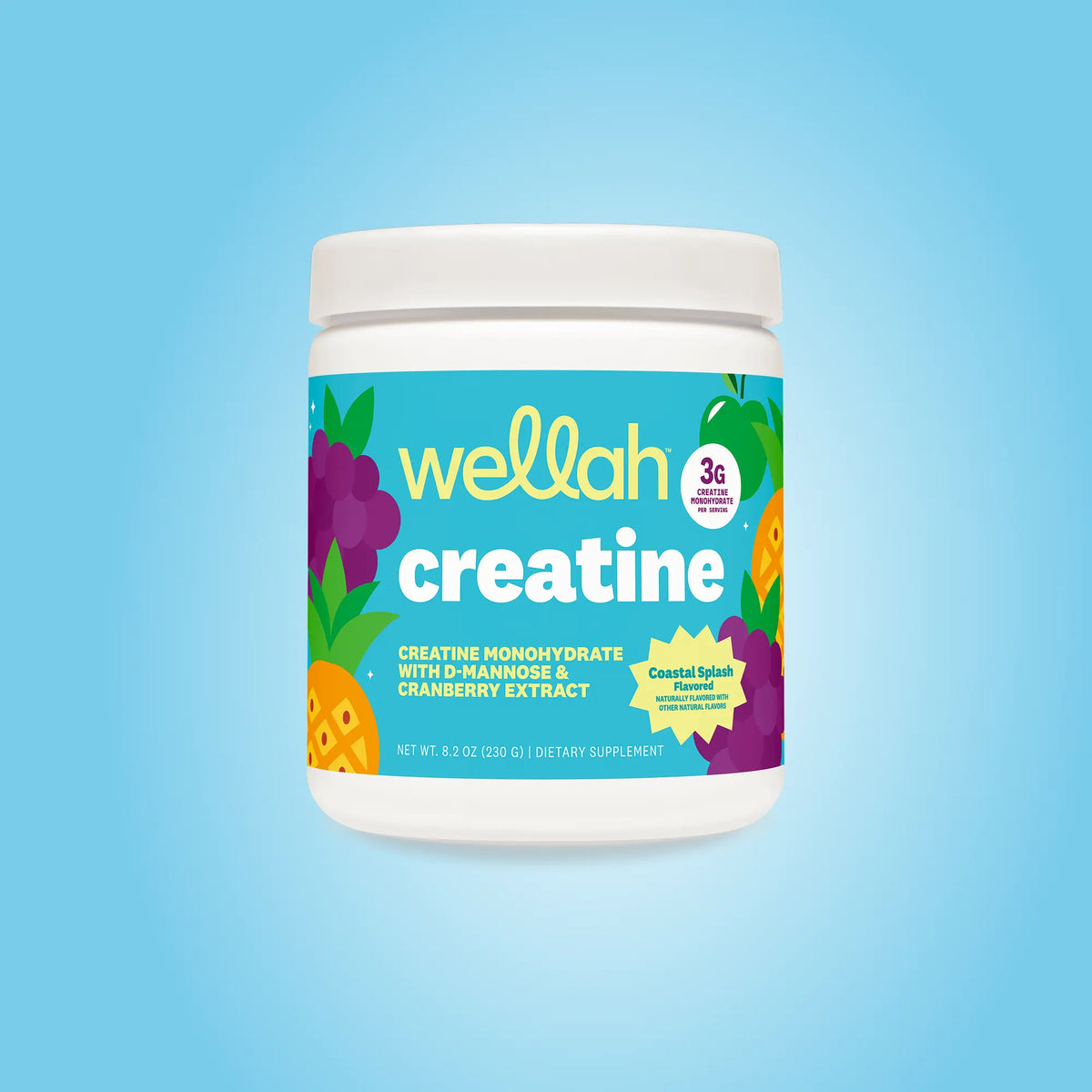 Wellah Nutrition Creatine Monohydrate | 50 Servings | 3G Creatine | 