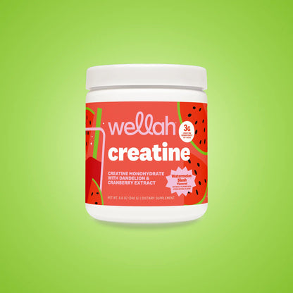 Wellah Nutrition Creatine Monohydrate | 50 Servings | 3G Creatine | 